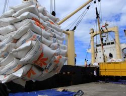 Tekan Kenaikan Harga, Pemerintah Berencana Impor Beras 2 Juta Ton dari Thailand