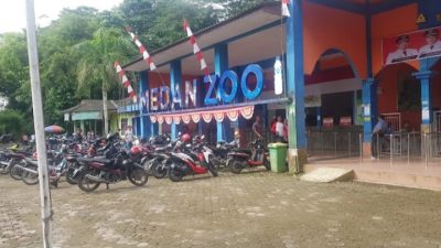 Buntut kematian 4 harimau Medan Zoo dalam 3 bulan, Poldasu periksa pengelola dan BKSDA