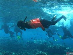 Taman Olele, Surga Tersembunyi di Sulawesi