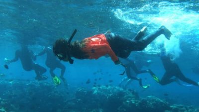 Taman Olele, Surga Tersembunyi di Sulawesi