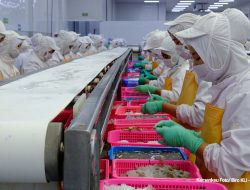 Industri Pengolahan Jadi Sumber Pertumbuhan Ekonomi Tertinggi