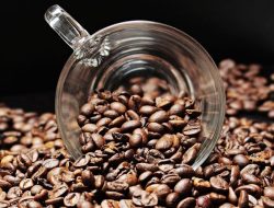 Tingkatkan Kualitas dan Kuantitas Biji Kopi, KemenKop UKM Dorong Koperasi Produsen Kopi Masuk PMO Kopi Nusantara