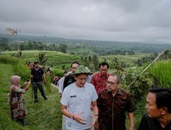 UNESCO-RI Berkomitmen Pertahankan Kelestarian Subak sebagai Warisan Budaya Dunia
