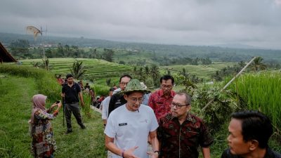 UNESCO-RI Berkomitmen Pertahankan Kelestarian Subak sebagai Warisan Budaya Dunia
