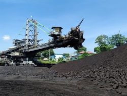 Emiten Batu Bara PT Bukit Asam Tbk Bagikan Laba Bersih Senilai Rp4,57 triliun