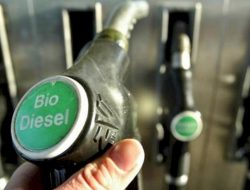 Naik Rp275, HIP BBN Biodiesel Bulan Mei 2024 Sebesar Rp12.453 per Liter