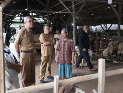 Jelang Iduladha, Pj Wali Kota Monitoring Cek Kesehatan Hewan Kurban