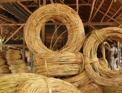 Mendorong Daya Saing Industri Rotan Indonesia di Pasar Global