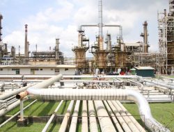 Produksi Gas Bumi Stabil, Menteri ESDM Optimis Target 12 BCF Bisa Tercapai