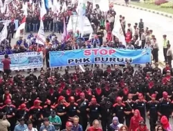 Hantu PHK 2024/2025 dan Cara Mengatasi Bagi Pemerintah Baru