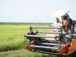 Program Percepatan Swasembada untuk Kesejahteraan Masyarakat Papua