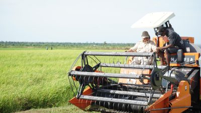 Program Percepatan Swasembada untuk Kesejahteraan Masyarakat Papua