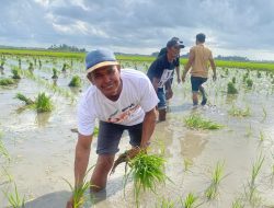 Pangkas 145 Regulasi, Kebijakan Distribusi Pupuk Langsung Ke Petani Dinilai Tepat