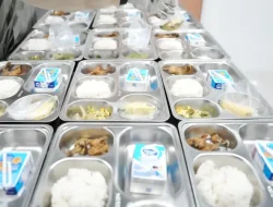 Keterlibatan Swasta dalam Program Makan Bergizi Gratis: Kritik atas Motif, Transparansi, dan Keberlanjutan