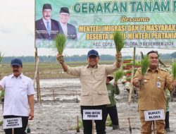 Menteri Imigrasi dan Wamen Pertanian Tanam Padi Bareng di Cepu