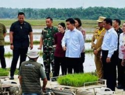 Wapres Gibran tanam padi perdana di Langkat, pemerintah bantu petani Rp 20 M