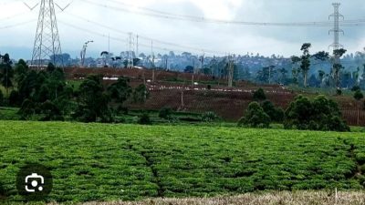 Gubsu minta 5.873 ha lahan eks HGU PTPN II diserahkan, Menteri ATR/BPN: Kami rapatkan khusus!