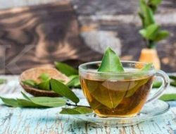 Penelitian Dosen Spesialis Medikal : Rebusan Daun Salam Efektif Menurunkan Tekanan Darah Penderita Hipertensi