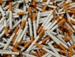 Cukai Rokok Indonesia Harusnya Naik Kelas