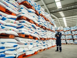 Jaga Produktivitas Nasional, Mentan Amran Sulaiman Pastikan Stok Pupuk Subsidi Aman