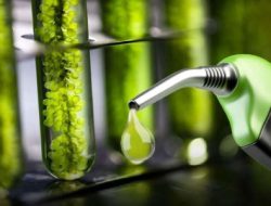 BBM E10 di Indonesia: Langkah Strategis Mempercepat Transisi Energi