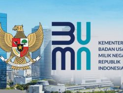 Kinerja BUMN tak Oprimal, Danantara: Terlalu Banyak Anak hingga Cicit