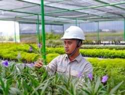 Target Nett Zero Emission 2060, IMIP Wajibkan Ciptakan Ekosistem Energi Bersih di Kawasan