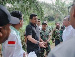 Gubsu Ubah Lahan Sawit Jadi Hunian Tetap Korban Bencana