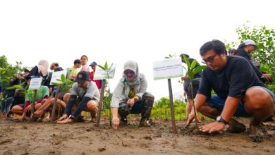 IMIP Tingkatkan Serapan Karbon, Target Reduksi Emisi