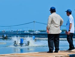 Presiden Prabowo Tegaskan Prioritas Pembangunan Produktif untuk Tingkatkan Kesejahteraan Rakyat