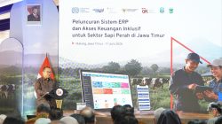 OJK dan ILO Luncurkan Enterprise Resource Planning, Tingkatkan Akses Pembiayaan Peternak Sapi Perah