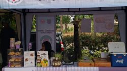 Asosiasi UMKM dan Dekranasda Kota Depok Gelar UMKM Fair 2026, Buka Akses Pasar bagi Pelaku Usaha Lokal