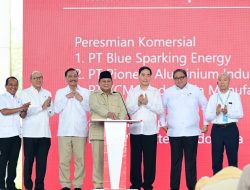Hilirisasi Nikel Rp180 Triliun Jadi Taruhan Baru Indonesia Perkuat Industri Nasional