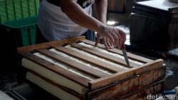 Pemerintah Pantau Harga Kedelai, Produksi Dalam Negeri Jadi Perhatian