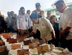 Pantau Pasar Induk Cipinang, DPR Sebut Perputaran Stok Beras Cermin Pulihnya Daya Beli Warga