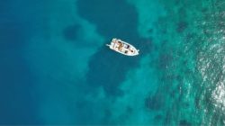 Pacu Nilai Tambah Maritim, KKP Targetkan Wilayah Timur Jadi Pusat Hilirisasi Rumput Laut Global