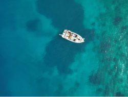 Pacu Nilai Tambah Maritim, KKP Targetkan Wilayah Timur Jadi Pusat Hilirisasi Rumput Laut Global