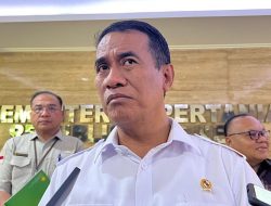 Pemerintah Perkuat Industri Olahan Singkong, Daya Saing Produk Lokal Jadi Kunci Perluasan Pasar