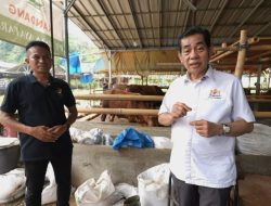 Dari Kandang Sapi ke Pabrik Pupuk, UMKM Bogor Tembus Pasar Nasional
