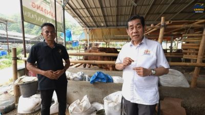 Dari Kandang Sapi ke Pabrik Pupuk, UMKM Bogor Tembus Pasar Nasional